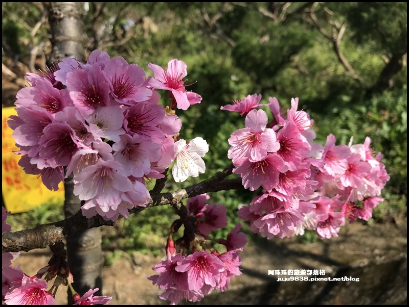 平菁街28.JPG 平菁街28.JPG