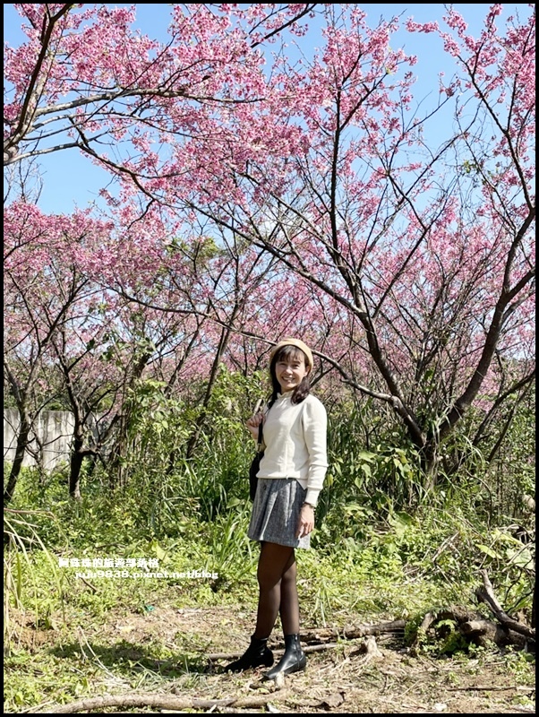 平菁街31.JPG 平菁街31.JPG