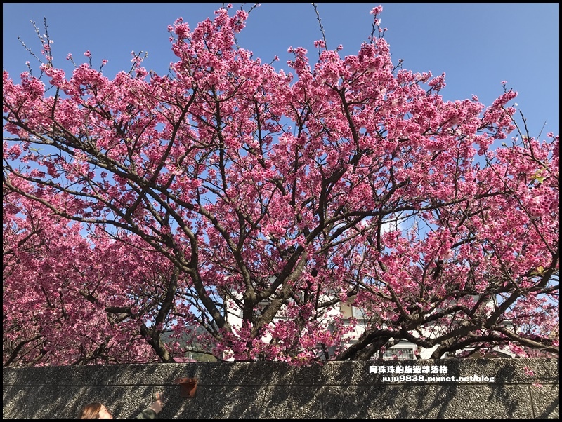 平菁街26.JPG 平菁街26.JPG