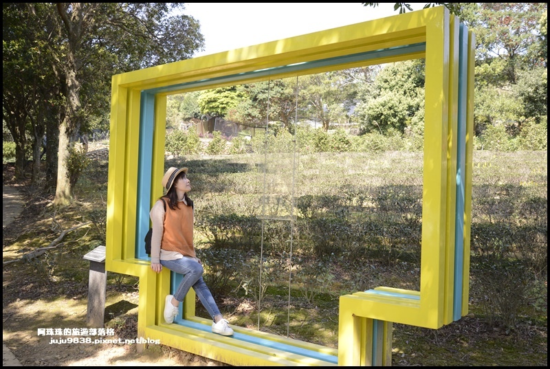 大北坑魯冰花30.JPG 大北坑魯冰花30.JPG