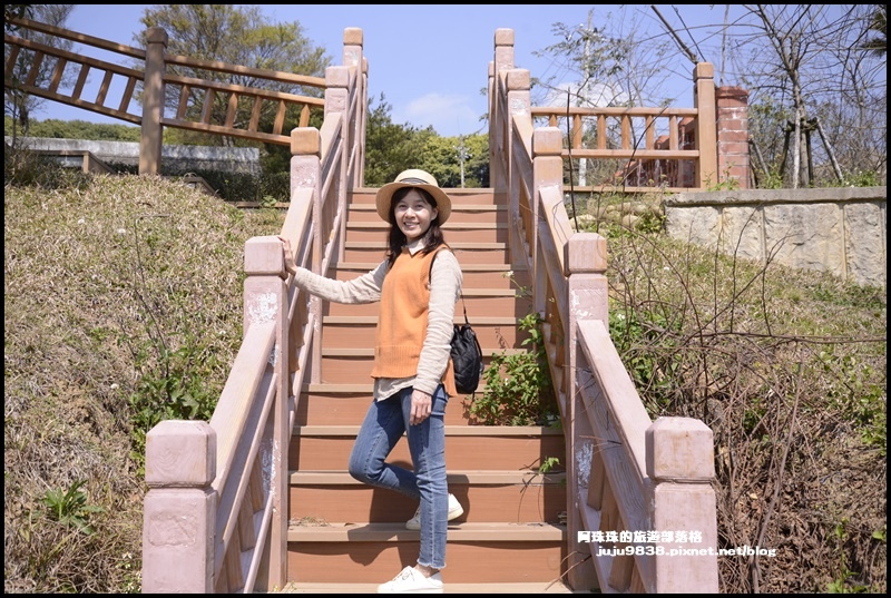 大北坑魯冰花35.JPG 大北坑魯冰花35.JPG