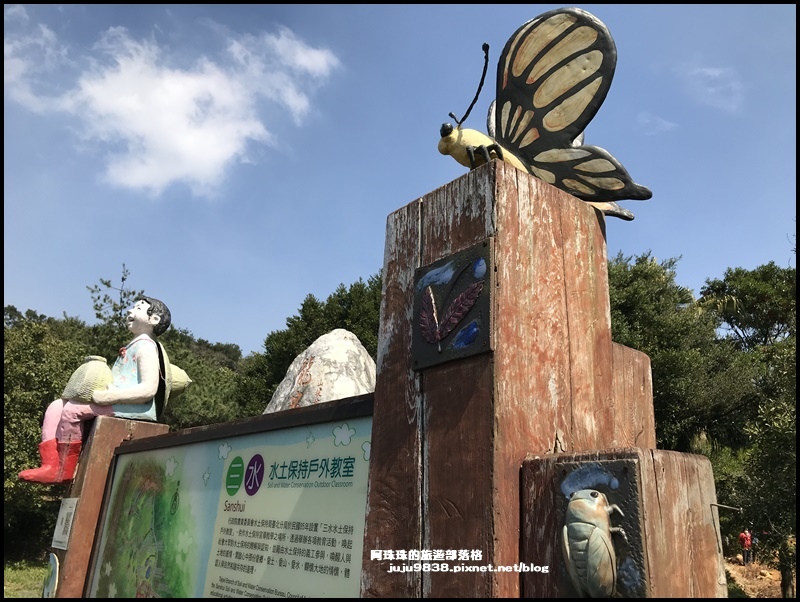 大北坑魯冰花59.JPG 大北坑魯冰花59.JPG