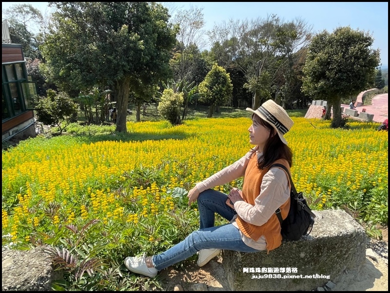 大北坑魯冰花70.JPG 大北坑魯冰花70.JPG