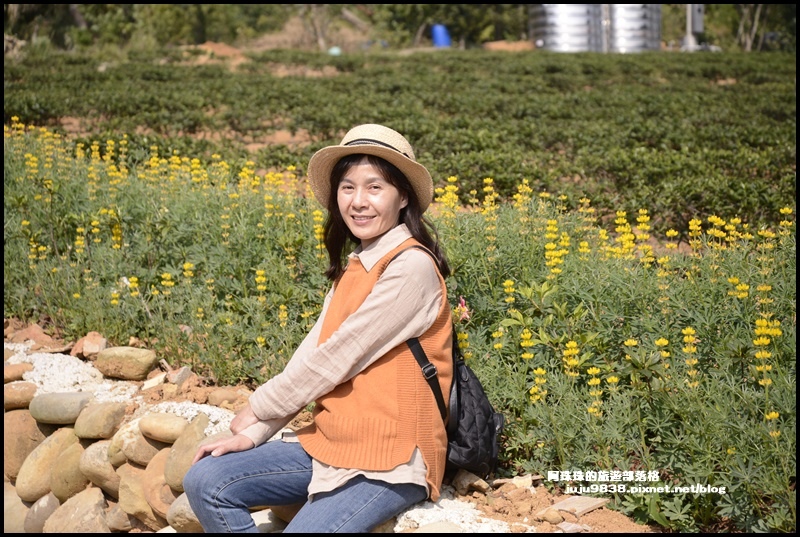 和窯文創園區11.JPG 和窯文創園區11.JPG