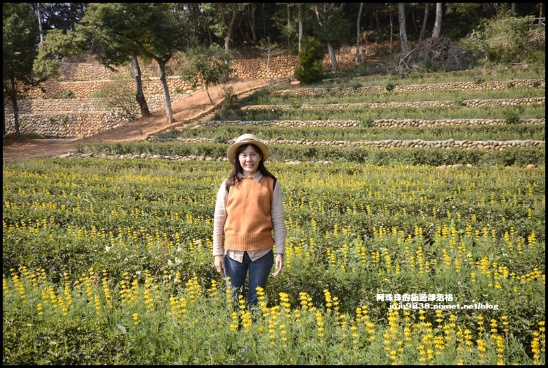 和窯文創園區15.JPG 和窯文創園區15.JPG