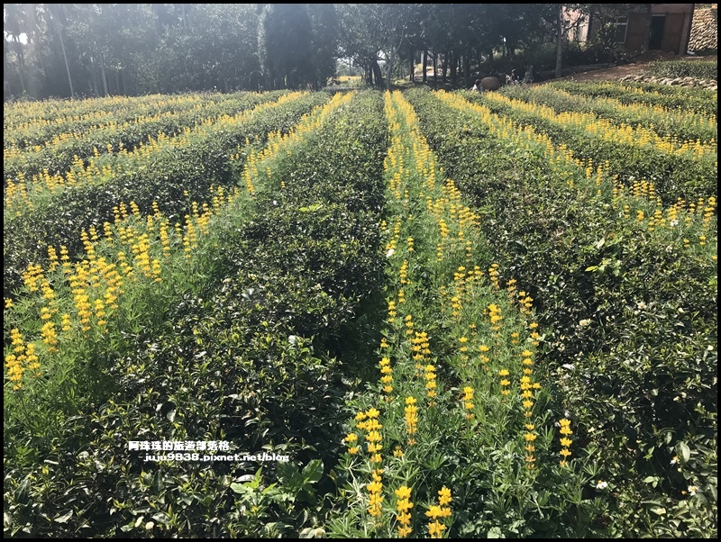 和窯文創園區29.JPG 和窯文創園區29.JPG