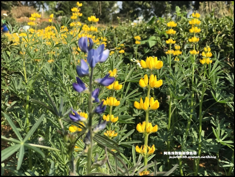 和窯文創園區37.JPG 和窯文創園區37.JPG