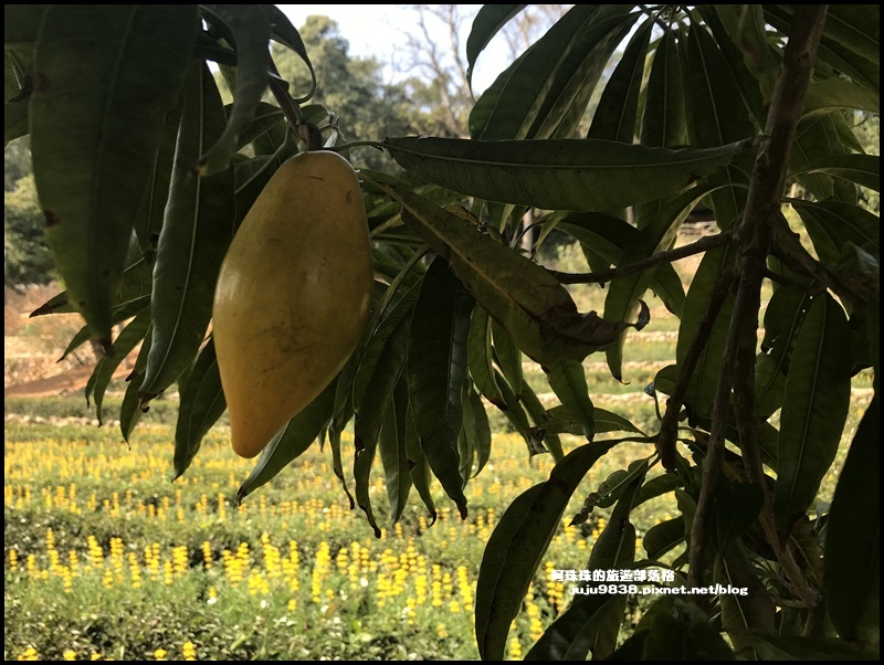 和窯文創園區31.JPG 和窯文創園區31.JPG