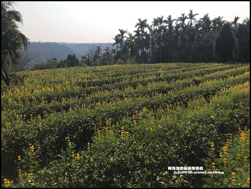 和窯文創園區33.JPG 和窯文創園區33.JPG