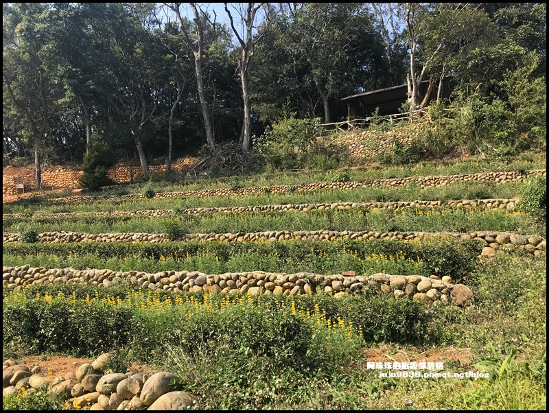 和窯文創園區32.JPG 和窯文創園區32.JPG