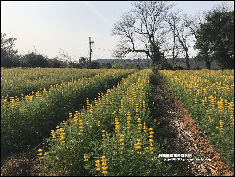 和窯文創園區40.JPG 和窯文創園區40.JPG