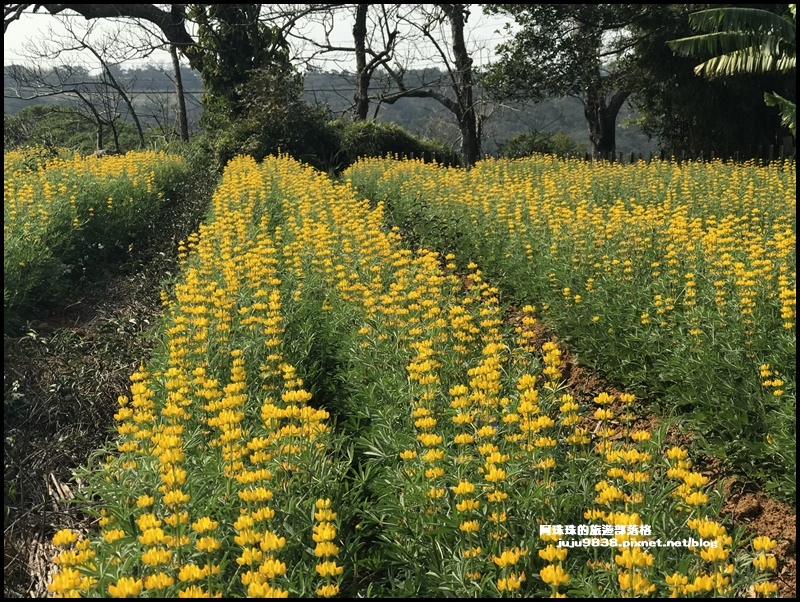 和窯文創園區39.JPG 和窯文創園區39.JPG