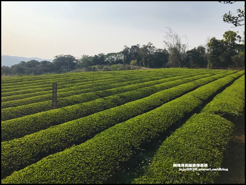 和窯文創園區41.JPG 和窯文創園區41.JPG