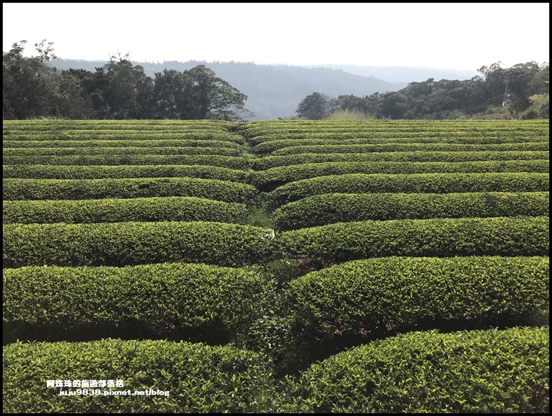 和窯文創園區50.JPG