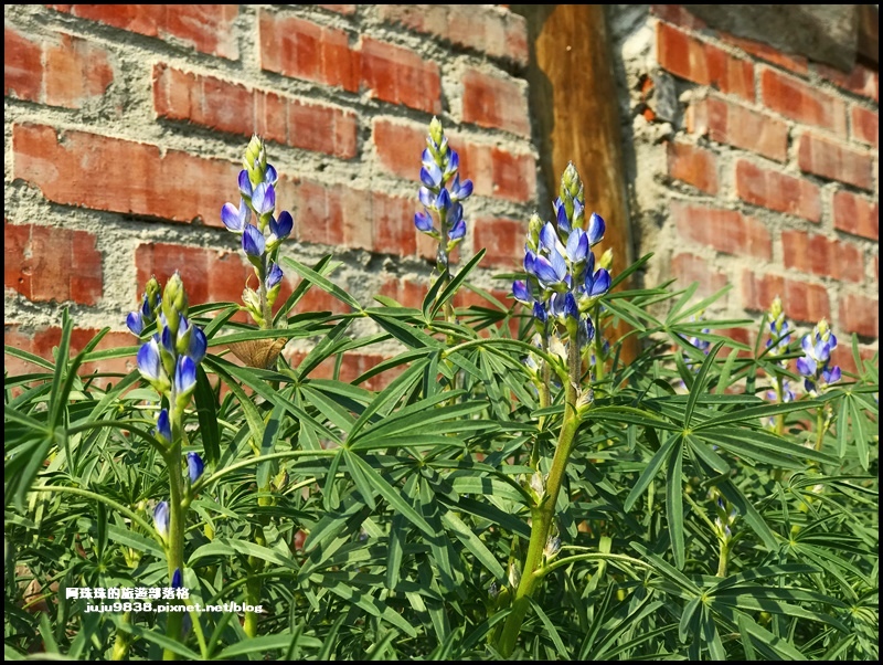 和窯文創園區54.JPG 和窯文創園區54.JPG