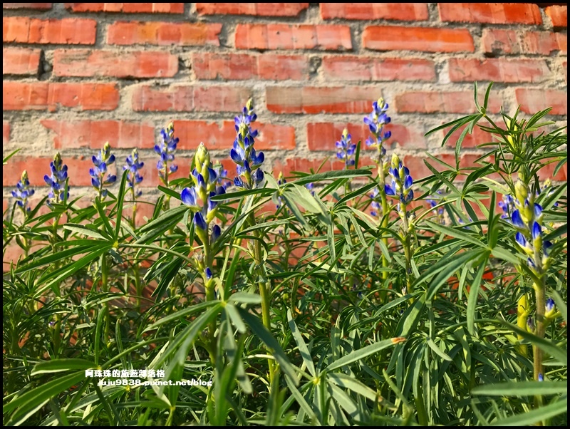 和窯文創園區53.JPG 和窯文創園區53.JPG