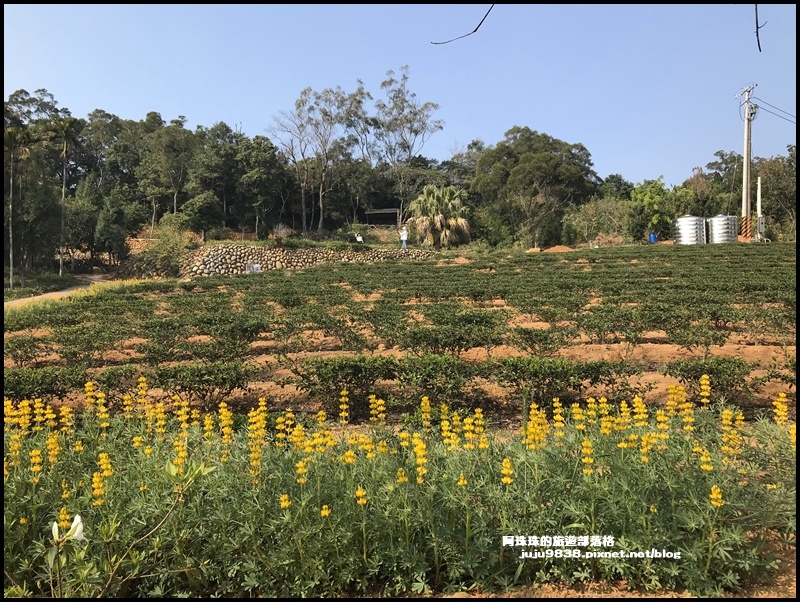 和窯文創園區55.JPG 和窯文創園區55.JPG