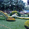 20101128746.jpg
