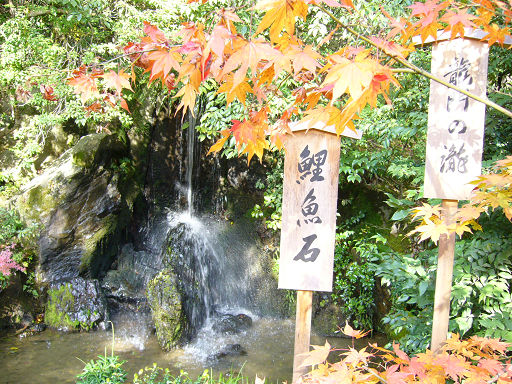 寺內一景，取自「鯉躍龍門」的典故