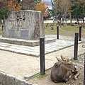 東大寺石碑