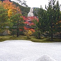 書院裡的枯山水造景