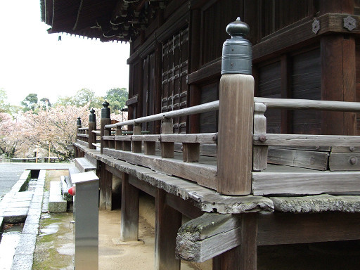 慢步閒走，可喜的是雨勢漸收，空氣中帶有一股雨後的清新。