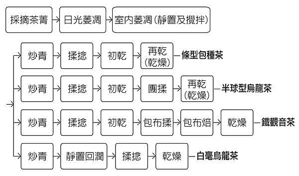 製茶工序-青.jpg