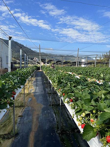 虹均(jun)_20220708_134647_3.jpg 虹均(jun)_20220708_134647_3.jpg