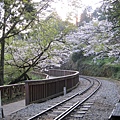 等待小火車來