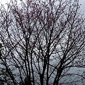 照片 022 照片 022