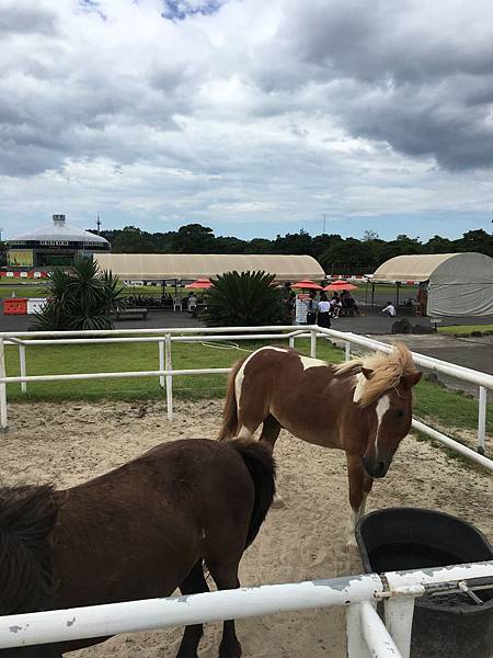 IMG_2177.JPG IMG_2177.JPG