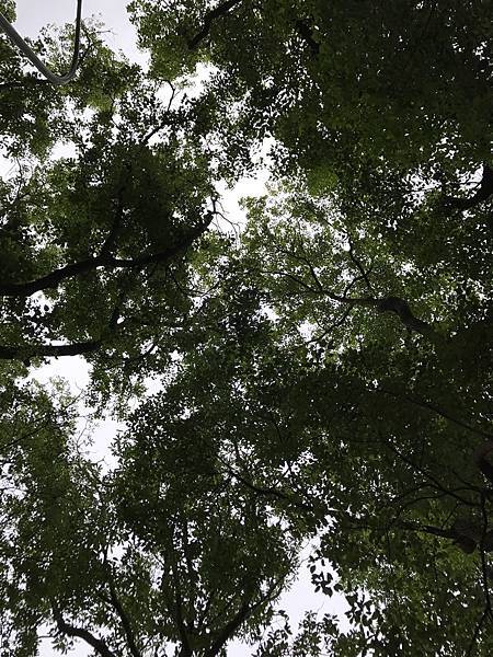 35463484_1937202099624906_3485987738824474624_n.jpg 35463484_1937202099624906_3485987738824474624_n.jpg