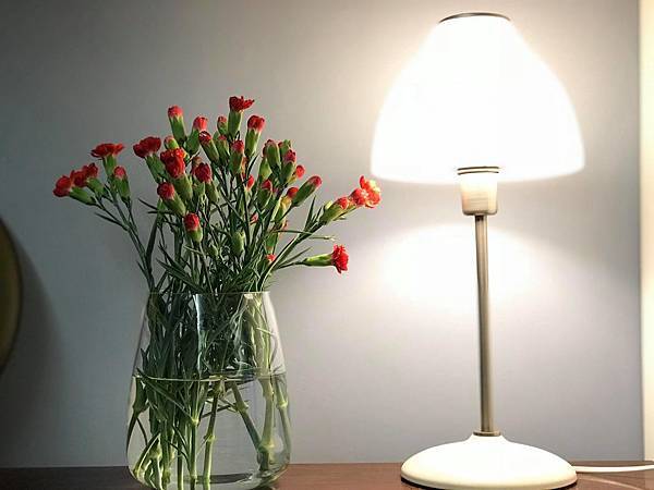 36820602_1970405626304553_572238735026946048_n.jpg 36820602_1970405626304553_572238735026946048_n.jpg