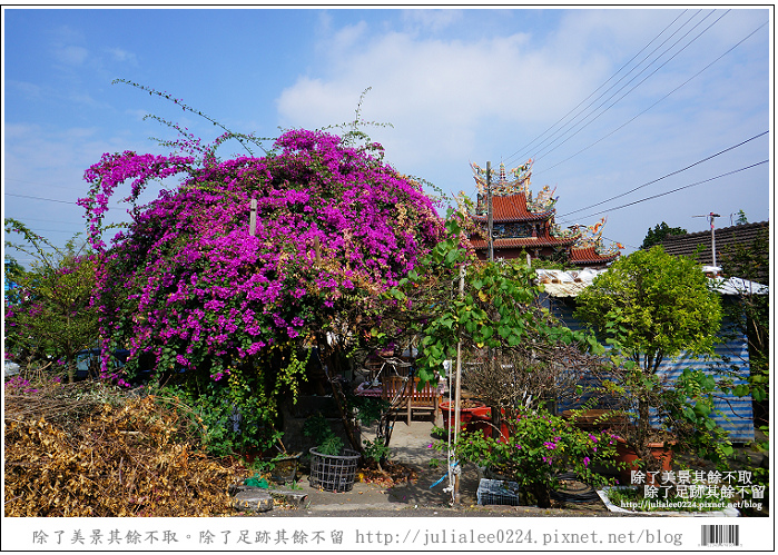 關廟新光彩繪村 (60).jpg