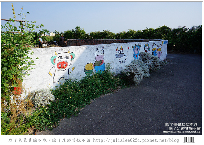 彰化福寶乳牛 (8)