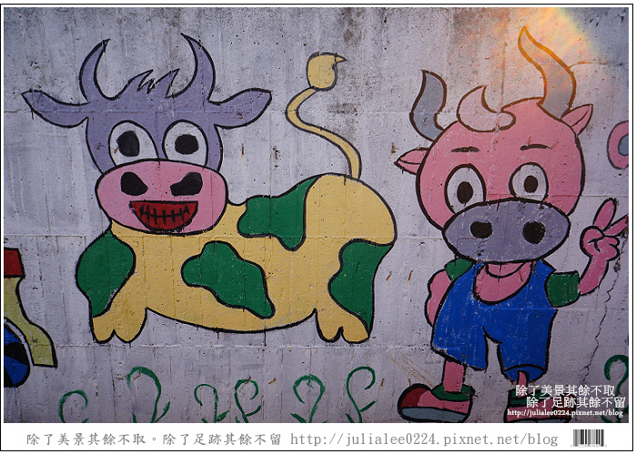 彰化福寶乳牛 (17)