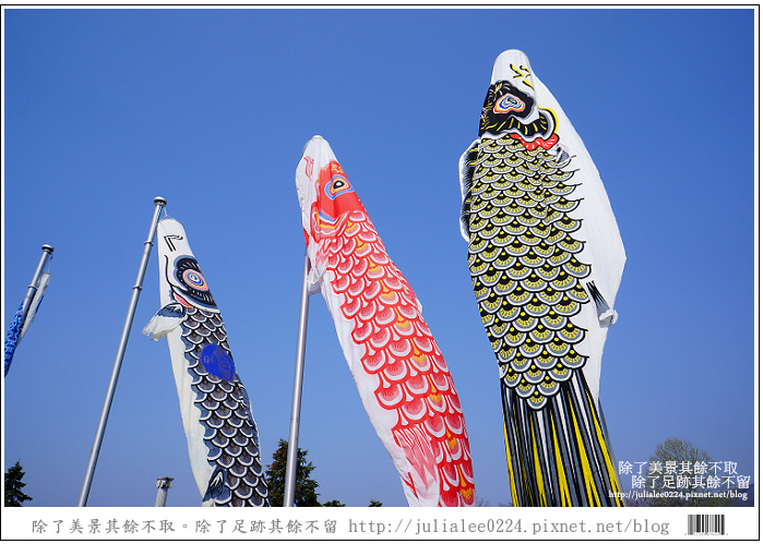 登別海洋公園尼克斯 (6) 登別海洋公園尼克斯 (6)