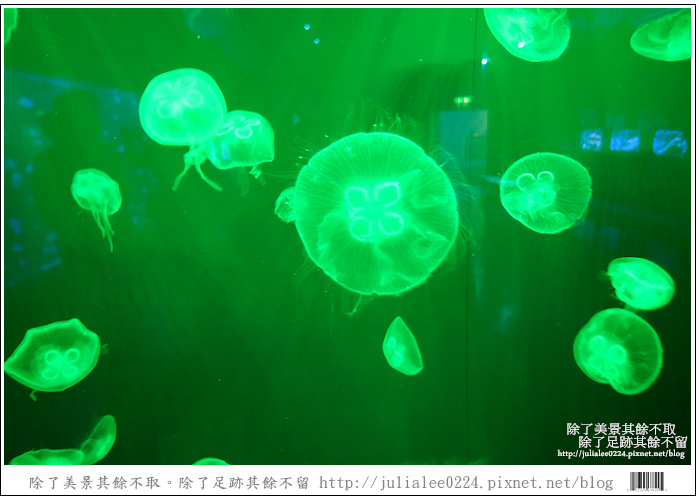 登別海洋公園尼克斯 (16) 登別海洋公園尼克斯 (16)