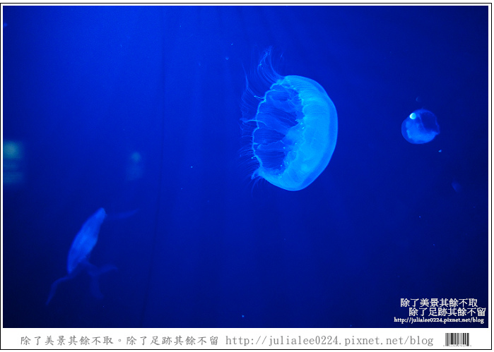 登別海洋公園尼克斯 (17) 登別海洋公園尼克斯 (17)