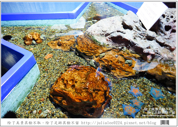 登別海洋公園尼克斯 (19) 登別海洋公園尼克斯 (19)