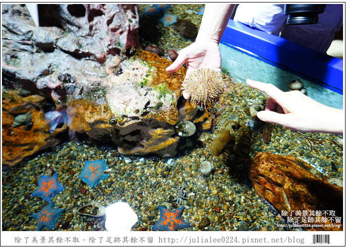 登別海洋公園尼克斯 (20) 登別海洋公園尼克斯 (20)