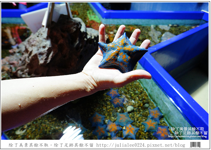 登別海洋公園尼克斯 (21) 登別海洋公園尼克斯 (21)