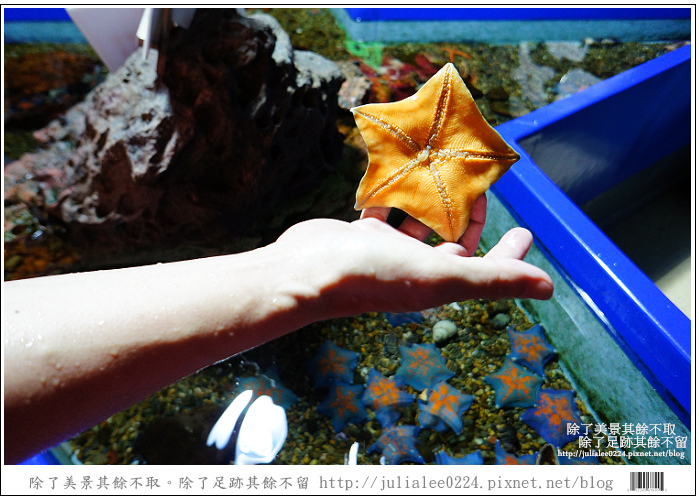 登別海洋公園尼克斯 (22) 登別海洋公園尼克斯 (22)