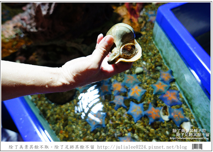 登別海洋公園尼克斯 (23) 登別海洋公園尼克斯 (23)