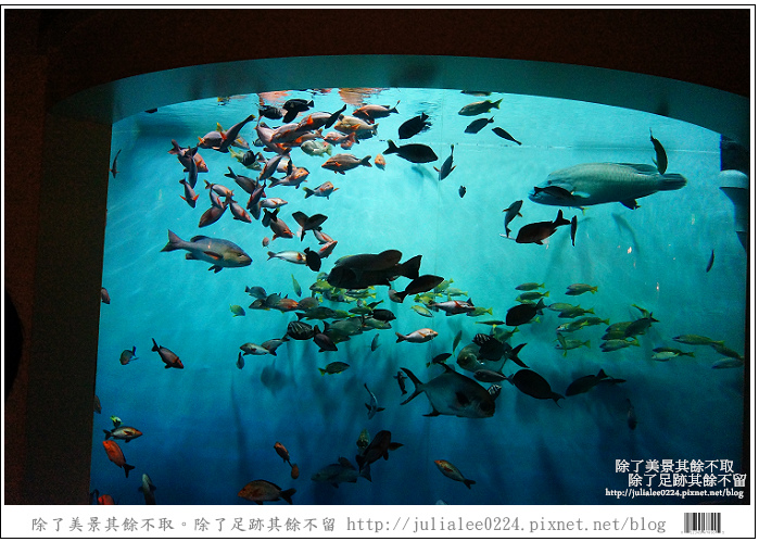 登別海洋公園尼克斯 (27) 登別海洋公園尼克斯 (27)