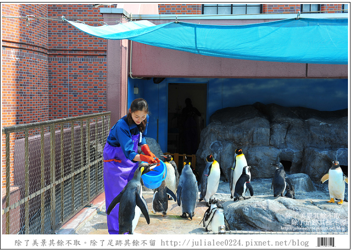 登別海洋公園尼克斯 (28) 登別海洋公園尼克斯 (28)
