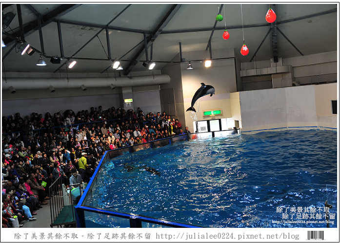 登別海洋公園尼克斯 (31) 登別海洋公園尼克斯 (31)