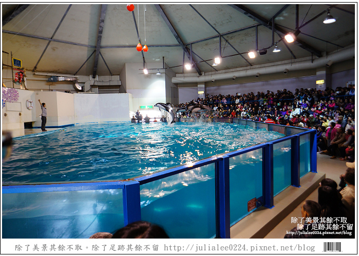 登別海洋公園尼克斯 (36) 登別海洋公園尼克斯 (36)