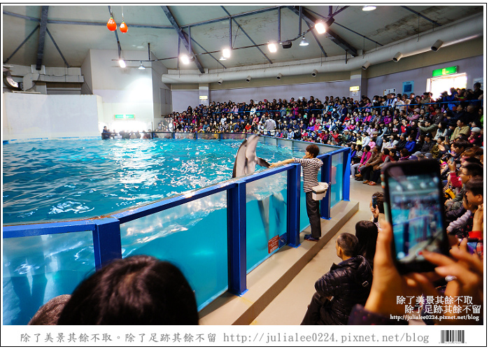 登別海洋公園尼克斯 (37) 登別海洋公園尼克斯 (37)