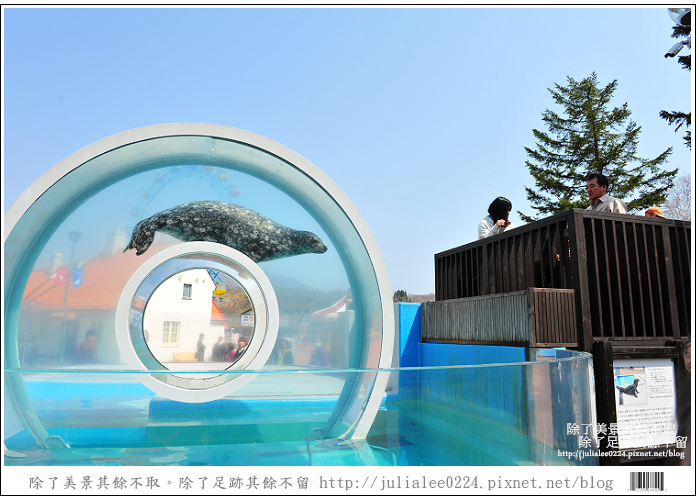 登別海洋公園尼克斯 (38) 登別海洋公園尼克斯 (38)